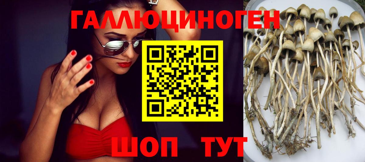 Псилоцибиновые грибы ЛСД  Вход с VPN  Армавир  Галлюциногенные грибы Psilocybine cubensis 